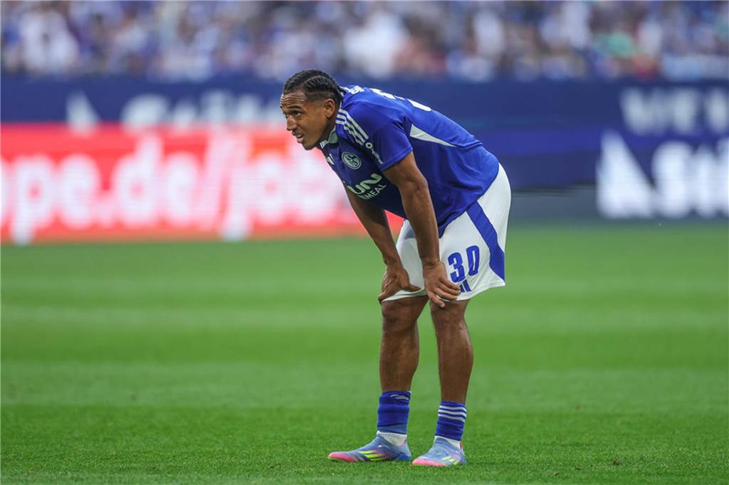 32. Spieltag, FC Schalke 04 - SC Paderborn 07