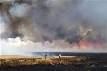 04.07.2018, Sachsen-Anhalt, Brehna: Feuerwehrleute löschen einen Feldbrand in Sachsen-Anhalt. Wochenlange Trockenheit sorgt in Wäldern und auf Feldern für eine problematische Situation. Foto: Hendrik Schmidt