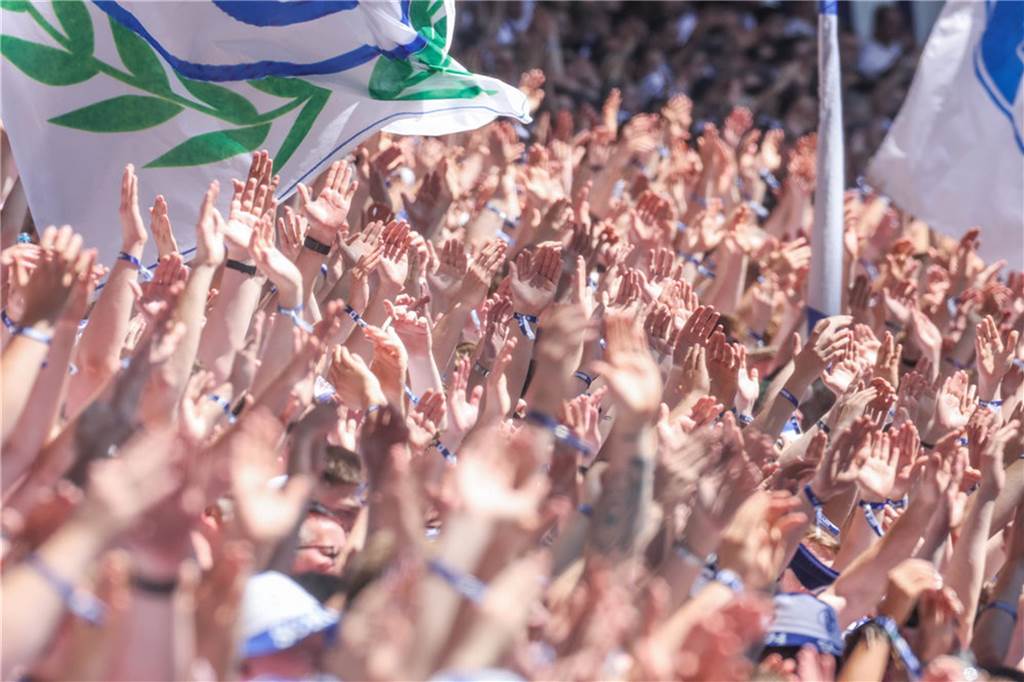 FC Schalke 04 - Hansa Rostock