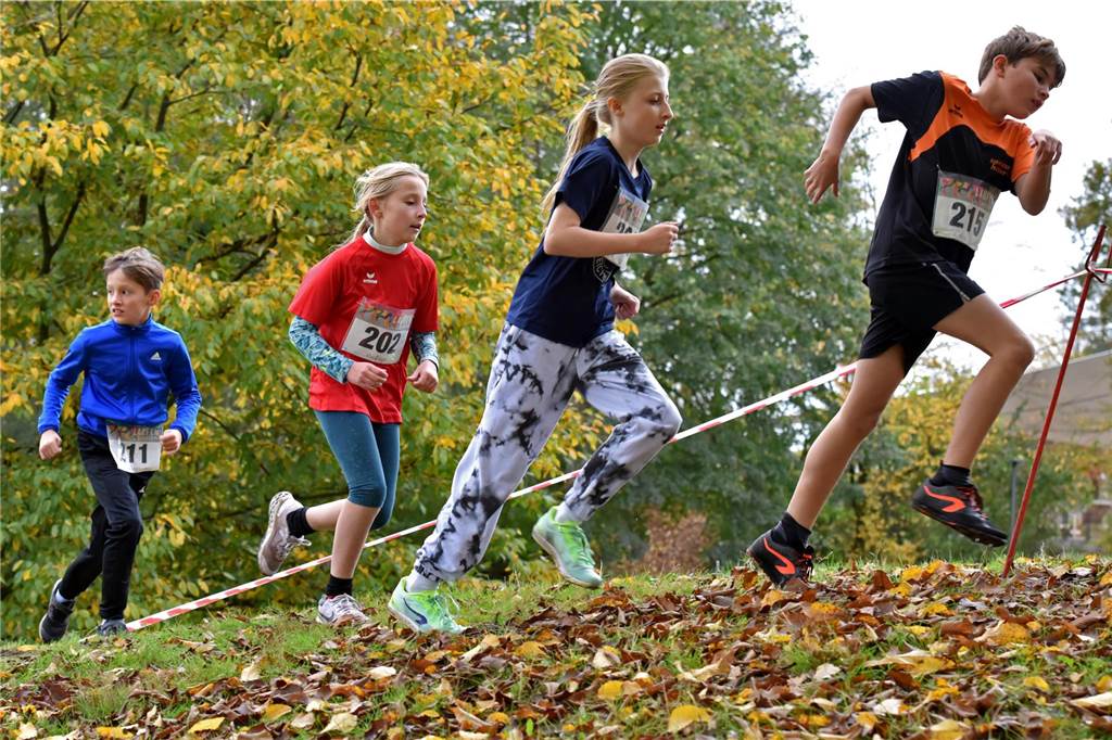 12. Dorstener Sparkassen Cross, 2. November 2024