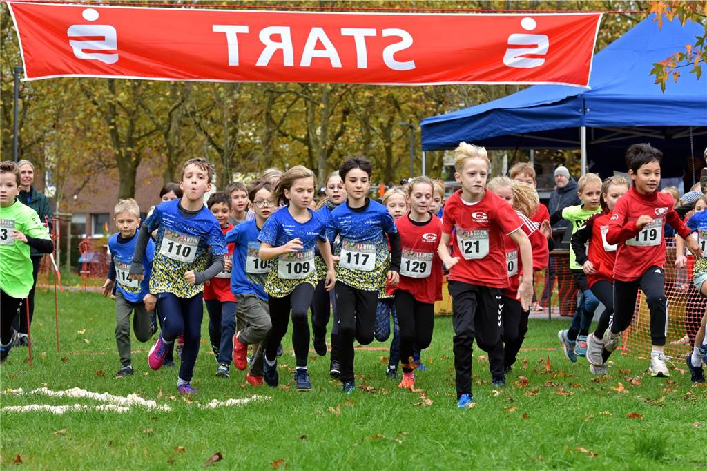 12. Dorstener Sparkassen Cross, 2. November 2024