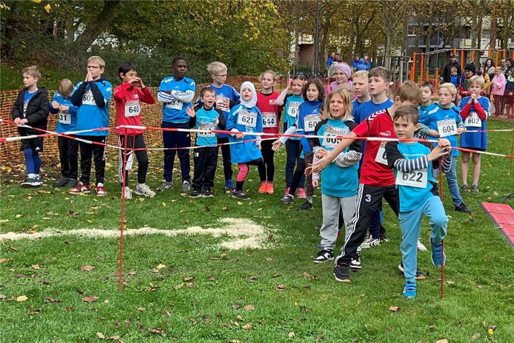 12. Dorstener Sparkassen Cross, 2. November 2024