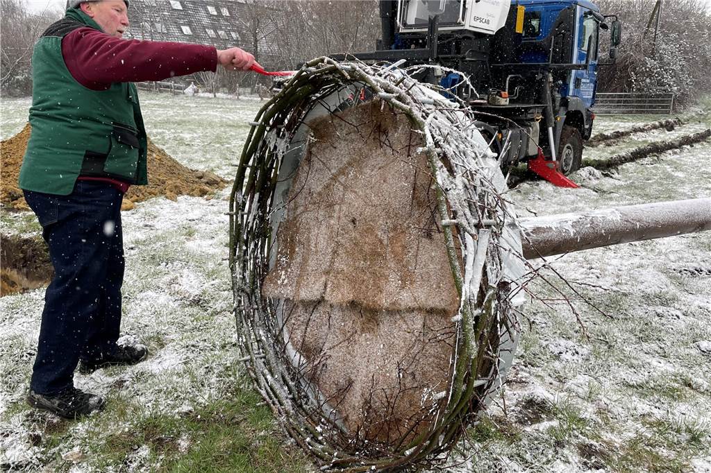 1,5 Meter im Durchmesser ist so ein Nestunterbau groß. Das richtige Nest müssen die Tiere darauf noch selbst bauen.