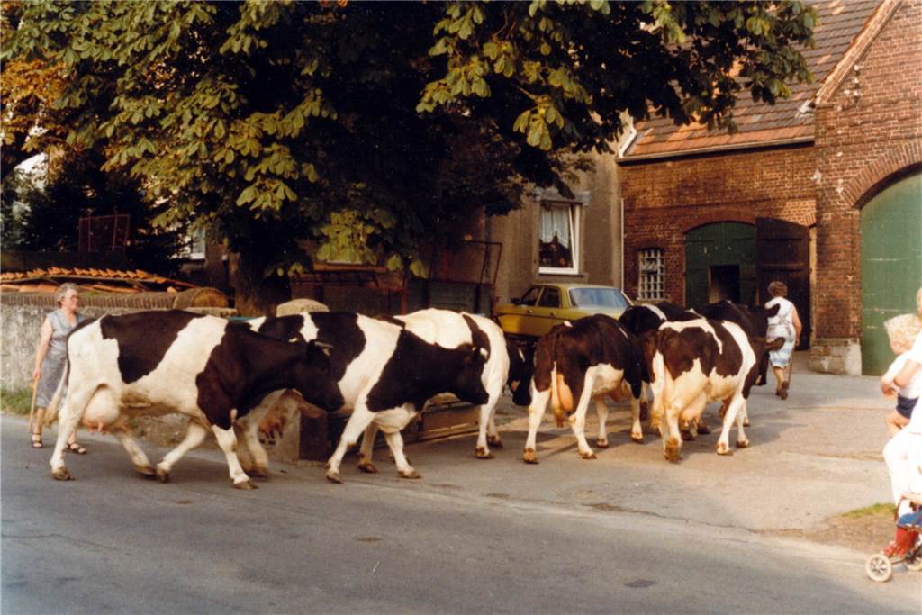 Historische Häuser in Dortmund vor dem Abriss – doch Annette Wilmsmann (67) will kämpfen 1979 wurde die Landwirtschaft auf dem Hof Wilberg eingestellt.