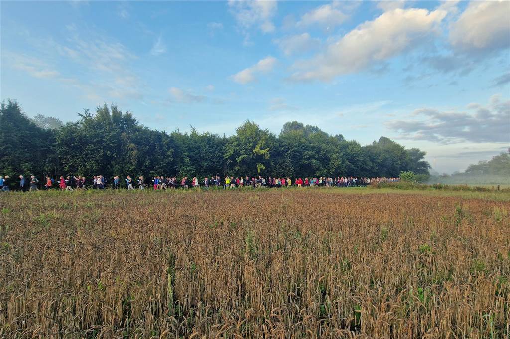 199 Teilnehmer nahmen den Hinweg in Angriff. Auf dem Rückweg waren es noch 90.