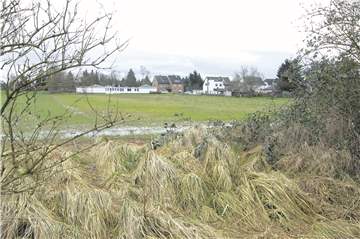 2008 scheiterte die Wohnungsbaugesellschaft LEG mit ihrem Plan, im „Massener Loch“ Wohnungen zu bauen.