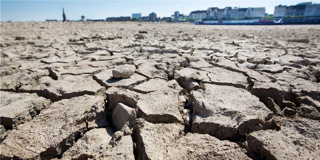 Es wird trocken in Deutschland: Diese Dürreszenarien kommen auf uns zu Das Bild zeigt den ausgetrockneten Rhein bei Düsseldorf 2018.