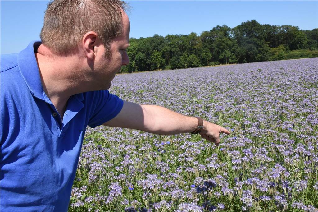 Blumenwiese statt Maisfeld: Patrick Balster sucht wieder Paten für Blühwiesen Patrick Balster auf einer Blühwiese.