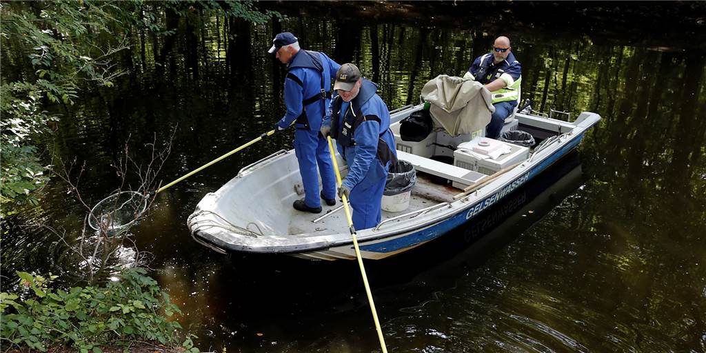 In der Oder verenden die Fische – Wie sieht es an Lippe und Stever aus? 2019 fischten Mitarbeiter der Gelsenwasser AG tote Fische aus der Zwischenstever.