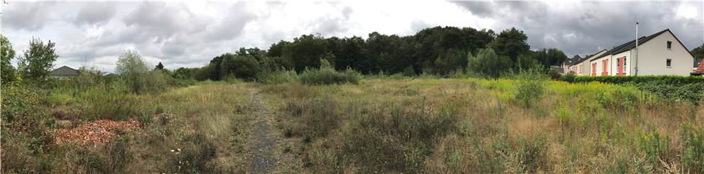 Geplantes Baugebiet gerodet: Wie geht es weiter auf Schacht 3/4? 2019 waren noch reichlich Sträucher und Gräser auf der Fläche zu sehen. Rechts die Bebauung entlang der Schieferbergstraße.