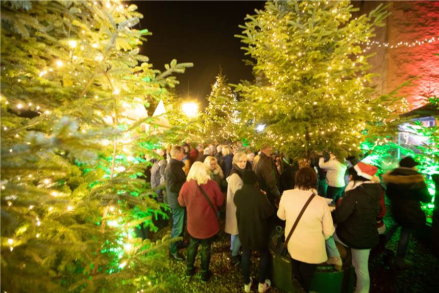 2021 soll der Glitzerwald wieder für weihnachtliche Stimmung in der Altstadt sorgen.