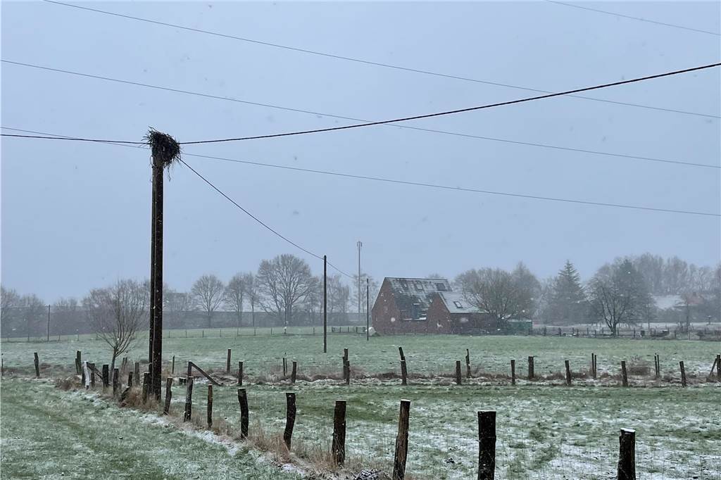 2022 hatte ein Storchenpaar unweit davon auf diesem Strommast versucht, ein Nest zu bauen. Dabei bestand Stromschlaggefahr. Zudem rutsche der Bau fast vom Mast. Gebrütet hat das wohl unerfahrene Storchenpaar dann nicht.
