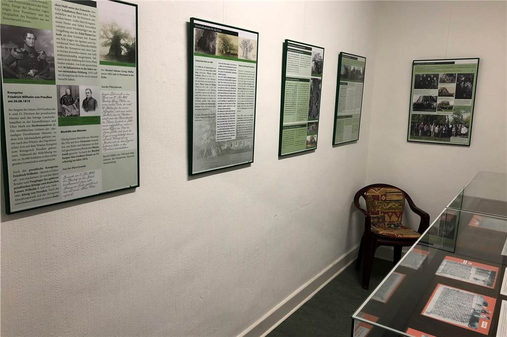 Ausstellung erzählt die Geschichte der „1000-jährigen Eiche“ 21 informative Schautafeln berichten über die Geschichte der Erler Femeiche.