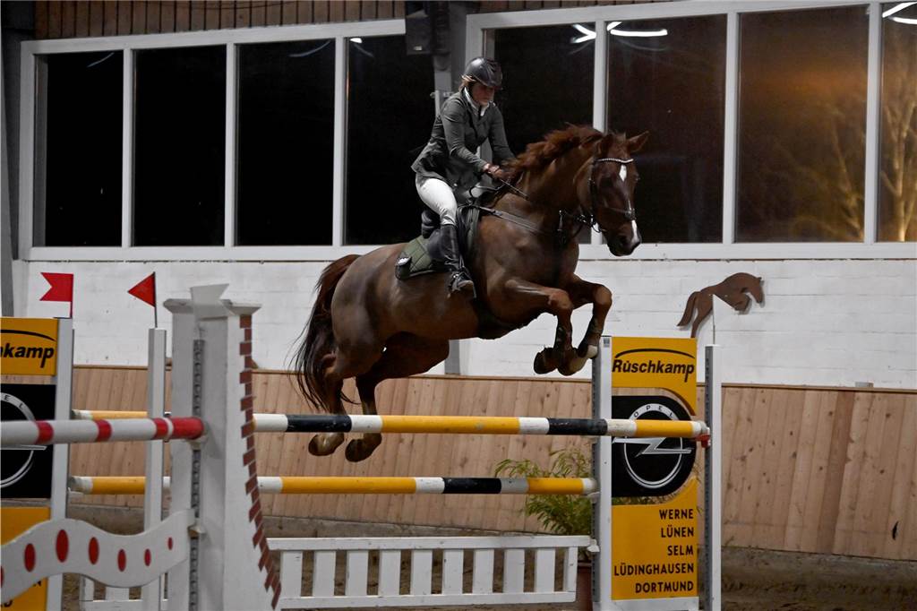22 Reiterinnen und Reiter traten am Samstagabend auf dem Reiterhof Schwert beim Springreitturnier des RFV St. Georg Werne in der Klasse M* an. Am Ende setzte sich Michael Hagemann im Stechen durch.