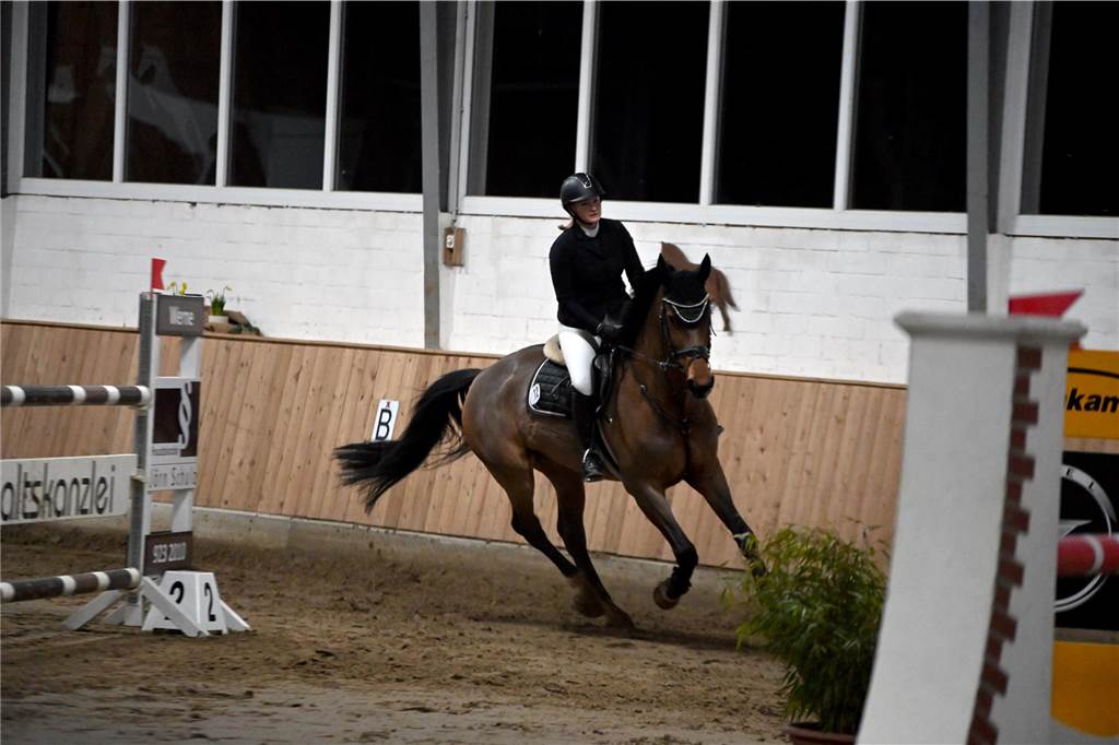 22 Reiterinnen und Reiter traten am Samstagabend auf dem Reiterhof Schwert beim Springreitturnier des RFV St. Georg Werne in der Klasse M* an. Am Ende setzte sich Michael Hagemann im Stechen durch.