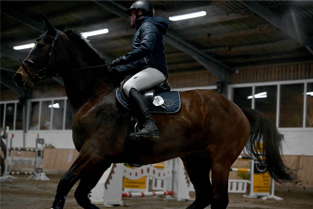 22 Reiterinnen und Reiter traten am Samstagabend auf dem Reiterhof Schwert beim Springreitturnier des RFV St. Georg Werne in der Klasse M* an. Am Ende setzte sich Michael Hagemann im Stechen durch.