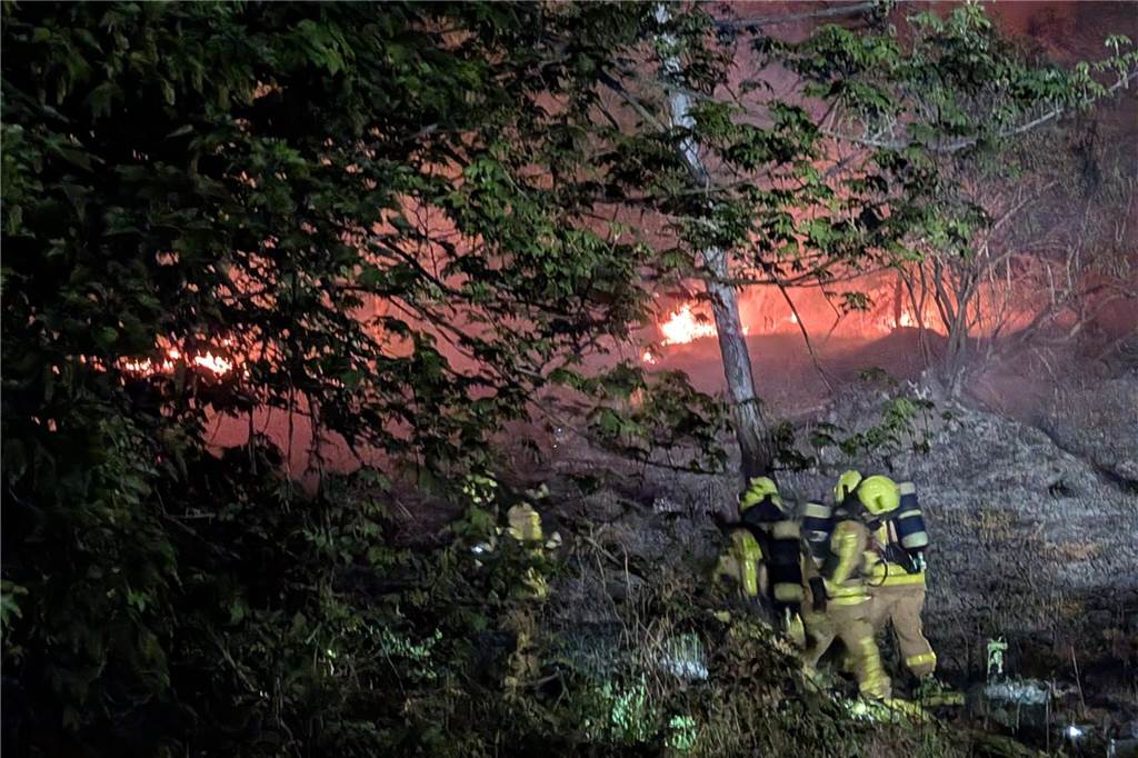 25 Feuerwehrleute löschen Brand im Wald: An dieser Stelle standen 3000 Quadratmeter in Flammen 25 Kräfte der hauptamtlichen Wache und der Freiwilligen Feuerwehr Rauxel-Dorf waren gegen Mitternacht für drei Stunden im Grutholz beschäftigt.