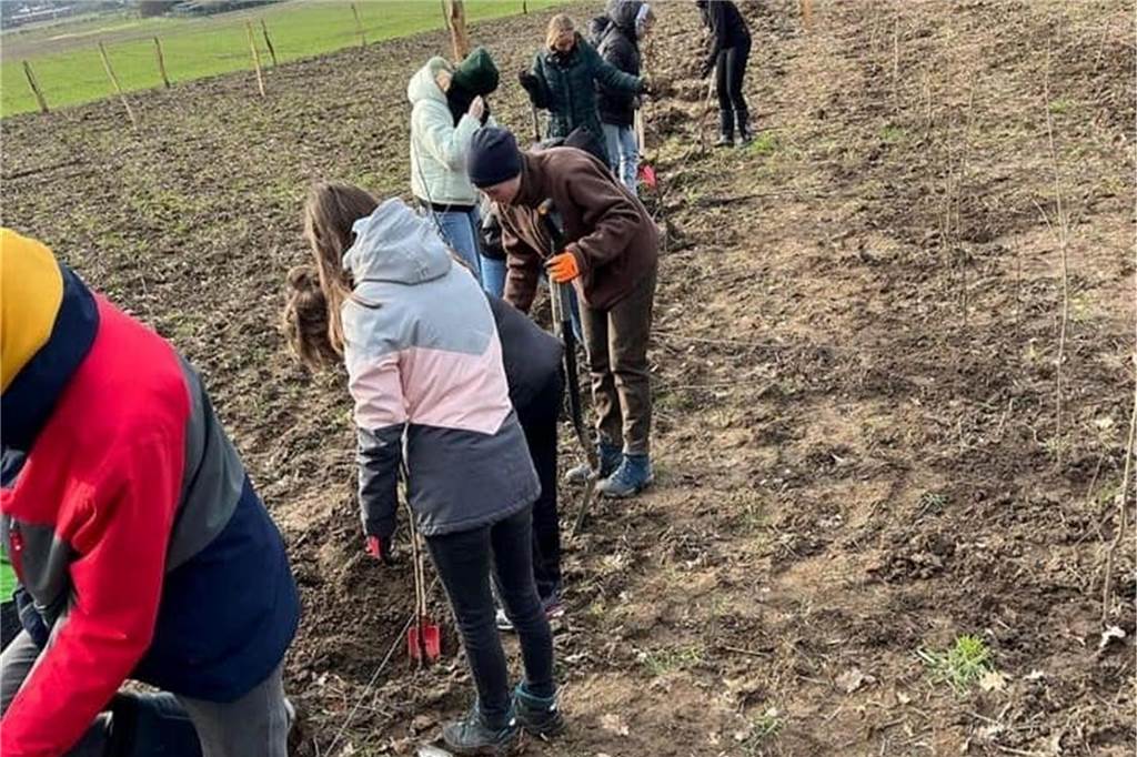Klimawald in Cappenberg wächst: Selm pflanzt startet Pädagogik-Projekte 50 Schülerinnen und Schüler halfen beim Pflanzen von mehr als 600 Bäumen auf dem Gelände des Klimawaldes Selm. Es war das erste pädagogische Projekt auf dem Gelände. Es soll aber nicht das letzte sein.