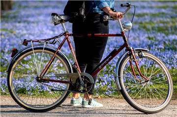 5,4 Tonnen Kohlendioxid haben die Raesfelder Radfahrer beim Stadtradeln eingespart. (Symbolbold)