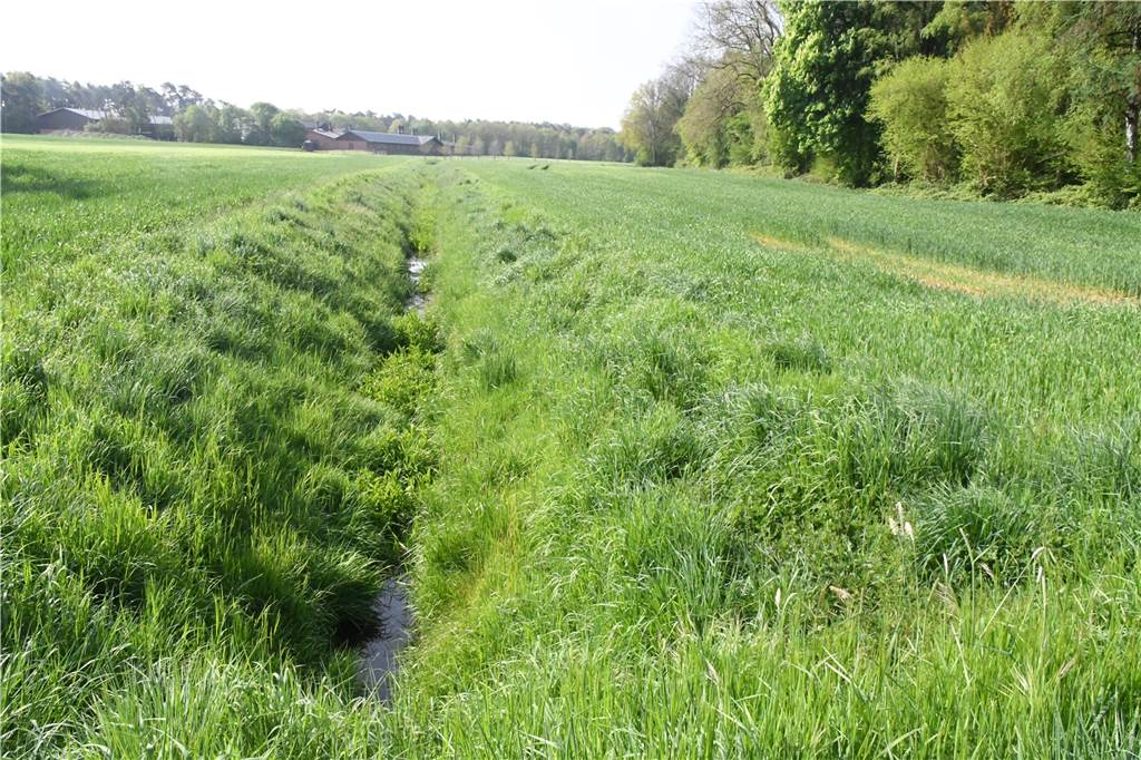 Neue Stever bereitet Waldbesitzer Sorge: „Wird ein erbärmliches Sterben“ 600 Meter entlang der Grundstücksgrenze von Familie Oster soll die Neue Stever verlaufen. Noch fließt ungefähr dort ein namenloser Bach.