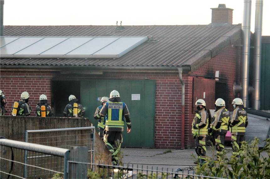 Feuer in Alstätte: Tierrechtsorganisation Peta erstattet Strafanzeige 70 Sauen und Hunderte Ferkel kamen um oder mussten eingeschläfert werden, nachdem im Nebengebäude eines Stalls in Alstätte ein Feuer ausgebrochen war. Die Tierrechtsorganisation Peta hat nun Strafanzeige gestellt.