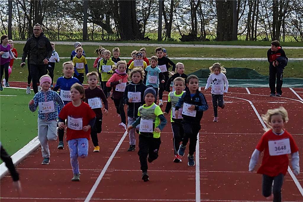 800 m Lauf U8: Zieleinlauf