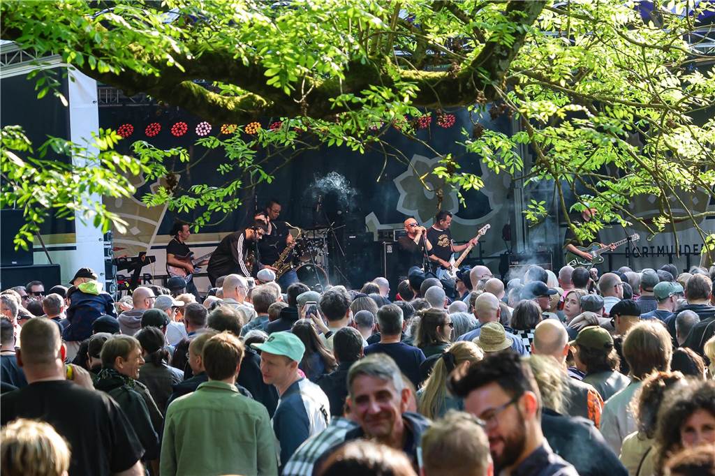Ab dem frühen Nachmittag spielten die ersten Bands im Westpark.
