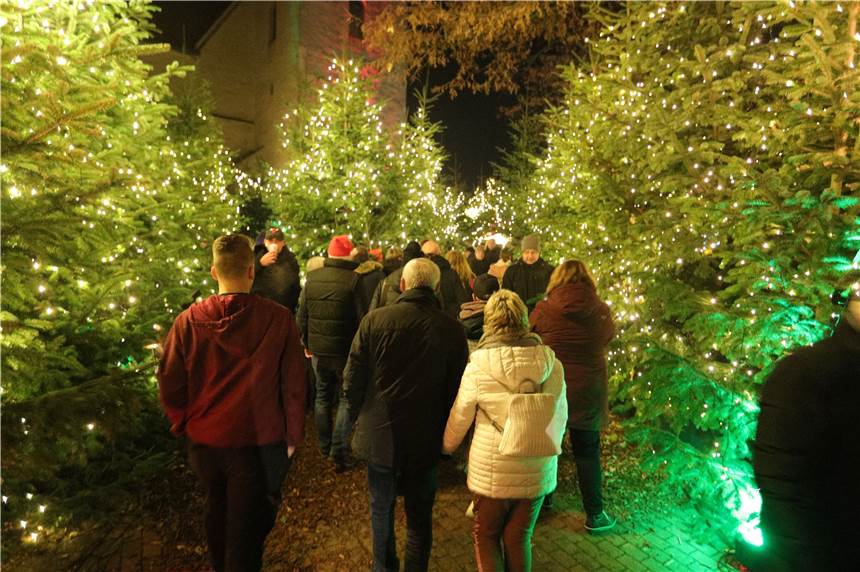 Glitzerwald in Selm: So geht das Musik-Programm weiter Ab Dienstag, 3. Dezember, ist der Glitzerwald wieder geöffnet.