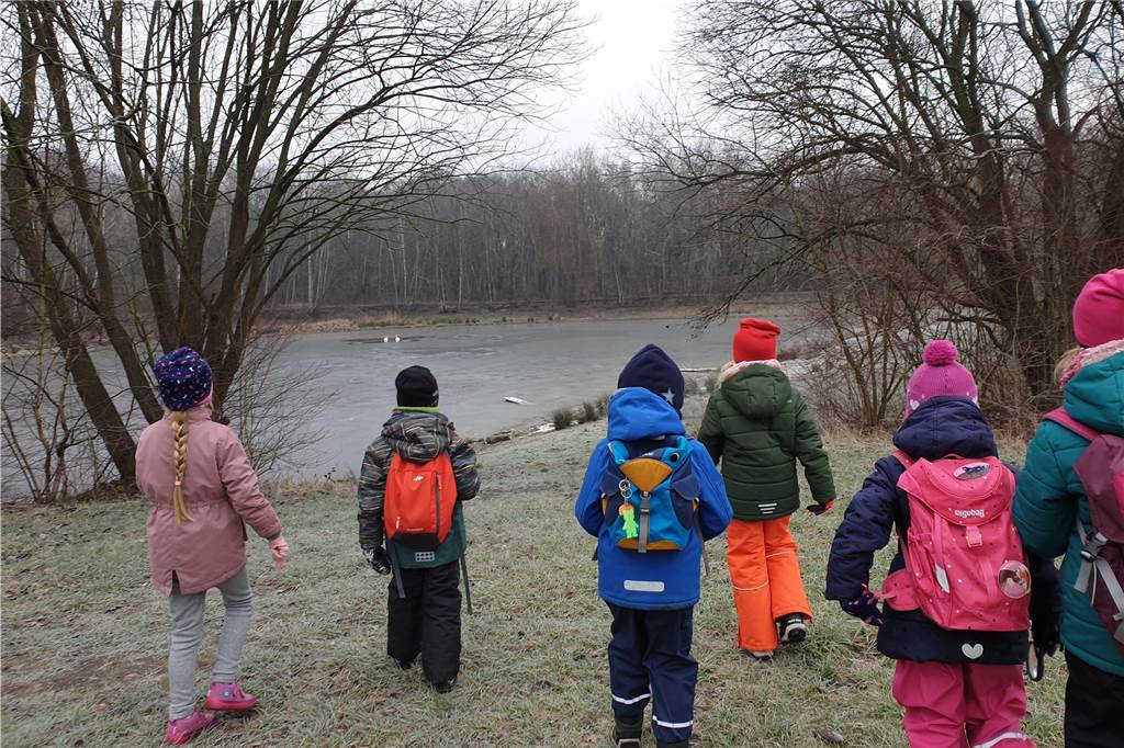 Entdeckung der Natur: Wunderwald bietet Aktionen für Kinder an Ab ins Grüne: Bei den Veranstaltungen von Wunderwald können Kinder die Natur entdecken.