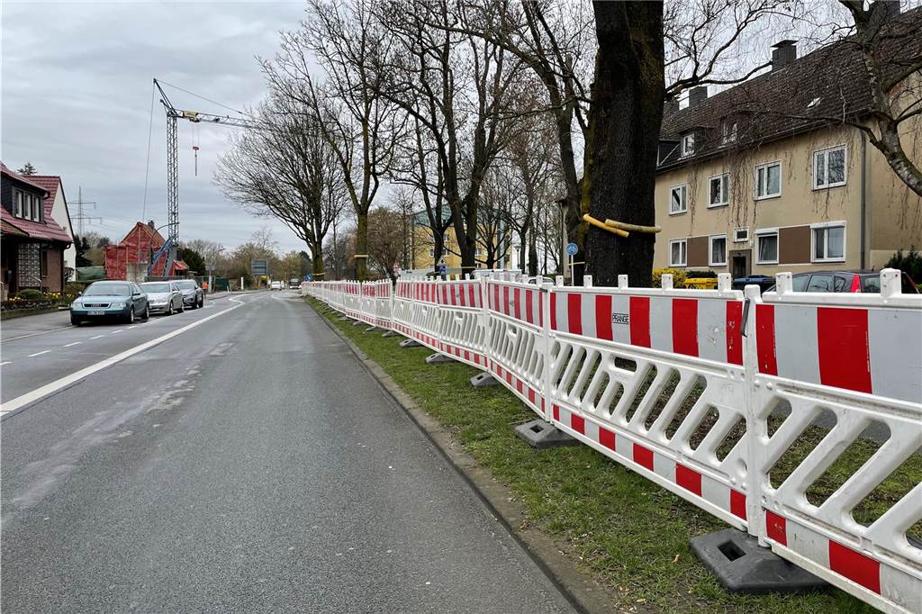 Umbau der Planetenfeldstraße: Anwohner fühlen sich schlecht informiert Absperrzäune auf der Planetenfeldstraße in Dorstfeld