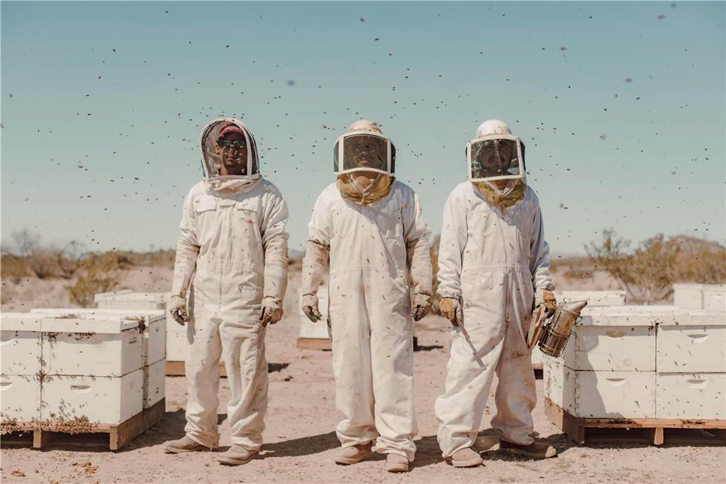 Afredo Fierro (links) und seine Mitarbeiter Ubaldo und José, während der Pflege von Bienen in der Wüste von Arizona bei Wenden. Seit mehreren Jahren müssen die Männer Wasser für die Bienen in Tränken bereitstellen. Die Bienenvölker würden sonst nicht überleben können, weil es immer weniger Regen gibt. Hitze und Trockenheit schwächen die Bienen, sie werden anfälliger für Krankheitserreger. Der Bestand an Bienenvölkern in den USA ging zwischen 2019 und 2020 um 43 Prozent zurück.