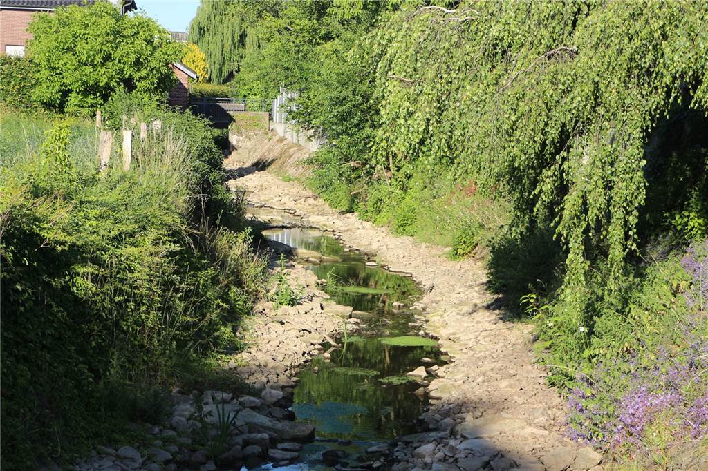 Sorge um Zustand der Rauen Rampe: „Erfüllt sie so überhaupt ihren Zweck?“ Aktuell führt die Schlinge am Mühlenwehr kaum Wasser. Laut Verwaltung wird aktuell der Betrieb bei unterschiedlichen Wasserständen getestet.
