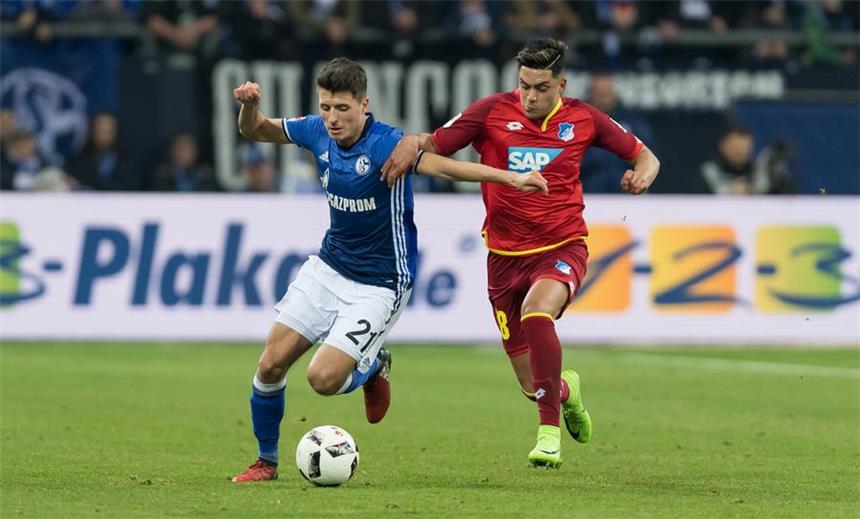 Schalke tritt in der Liga weiter auf der Stelle Alessandro Schöpf (l.) brachte Schalke gegen Hoffenheim früh in Führung - letztlich langte es aber nur zu einem 1:1.
