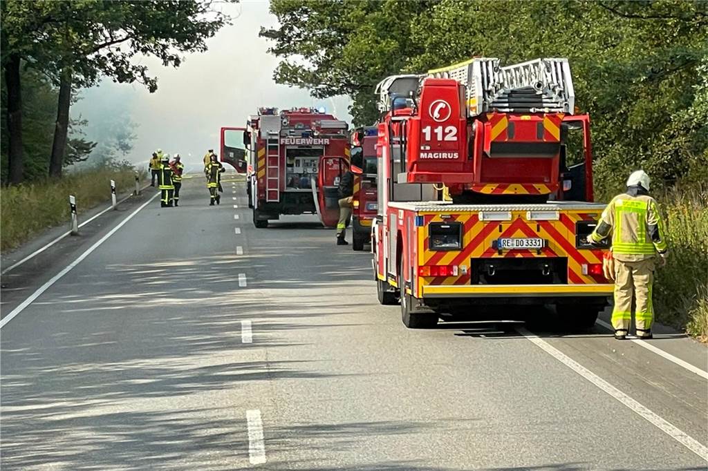 Waldbrand an der A31 und B 224: Alle Löschzüge alarmiert (mit Video) Feuerwehrfahrzeuge an der B 224