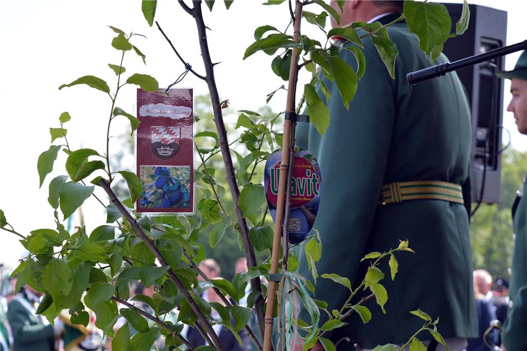 Sternmarsch Jubiläumsschützenfest Wehr