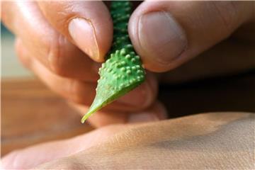 Aloe Vera ist beliebt wegen seiner hautpflegenden Eigenschaften. Foto: Jens Schierenbeck