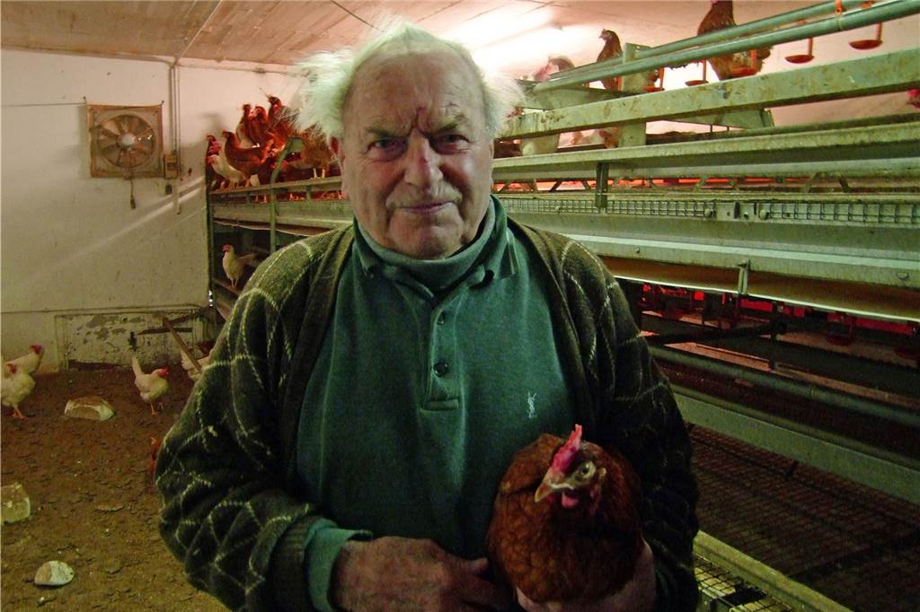 Vor dem Kotelett kommt der Tod Alois Thier hält rund 1000 Legehennen. Und früher hat er sie auch selbst geschlachtet. "Heute mach ich das nicht mehr", sagt der 92-Jährige. Foto Niehaus