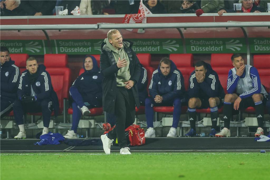 Selbstkritische Schalker suchen Lösungen aus der Krise: Als Krisenmanager gefragt: Schalke-Trainer Karel Geraerts.