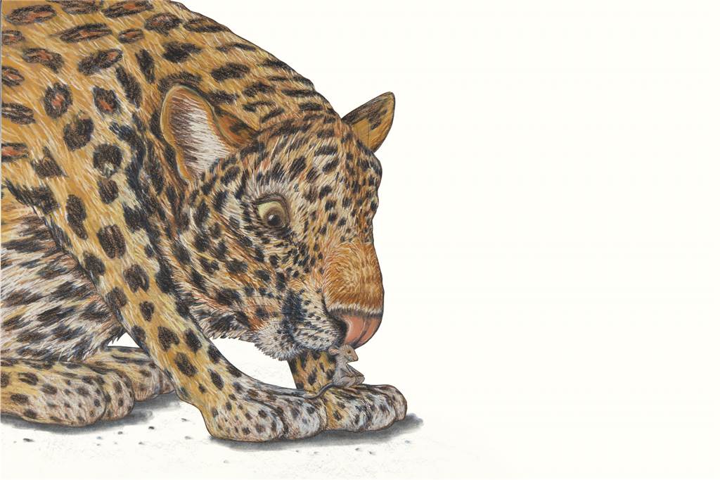 Geschenke-Ratgeber: Die besten Kinder- und Jugendbücher zu Weihnachten Als Rigo Mäuse anpflanzte und Rosa die Leoparden erfand