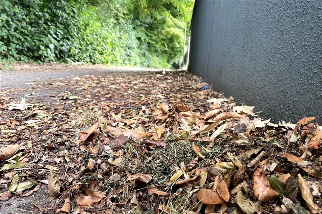 Stadt erklärt, warum Anlieger Verbindungsweg selbst reinigen müssen Als sich Leser Karl-Heinz Quednau bei uns gemeldet hat, war der Verbindungsweg in Lütgendortmund tatsächlich sehr dreckig.