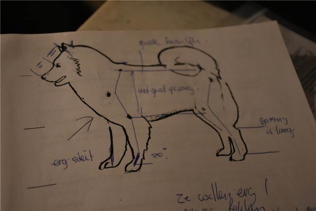 Künstler Paul Silder ist Zuchtrichter für die spitzartigen Eurasier Eine Zeichnung eines Hundes mit Notizen in niederländischer Sprache