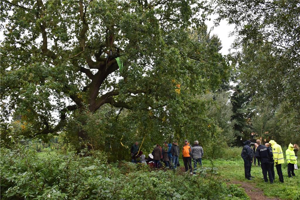 Am 1. Oktober war einiges los am Fuße der Eiche. Demonstranten vom Aktionskreis "Rettet die Alte Eiche" unterstützten Baumschützer Johannes, der seit dem späten Montagabend in den Ästen der Eiche Stellung bezogen hatte.