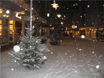Am 13. Dezember 2010 verbrachte ich schöne Stunden mit meiner Freundin in Dortmund.
Wir waren auf dem Weihnachtsmarkt und erledigten auch einige Weihnachts-Einkäufe. 
Das Wetter war kalt und trocken.
Als wir gegen 18.00 Uhr für die Rückfahrt nach Castrop-Rauxel Hbf. und Recklinghausen ( für meine Freundin), am Dortmunder Hbf.  ankamen, setzte plötzlich ein großes Schneetreiben ein.
Im Nu waren die Bahnsteige verschneit, aber unser Zug fuhr noch pünktlich ab.
Als ich in Rauxel am Hbf. ankam, waren die Straßen total zugeschneit.
Viele Fahrgäste und ich, die mit dem Bus weiterfahren wollten, warteten vergeblich im Schneetreiben an der Haltestelle.
 
Es fuhr kein Bus, kein Taxi, einige Autos die unterwegs waren, rutschten im Schneechaos über die Straße.
Per Handy habe ich meinen Mann angerufen, daß ich nun zu Fuß nach Hause laufen werde.
Das Schneegestöber erwischte mich von allen Seiten, so mußte ich ohne Brille und mit meinen Weihnachts-Tüten durch den hohen Schnee stapfen.
Auf der Münsterstraße und am Markt angekommen, habe ich dann mit meiner Digitalkamera an geschützten Stellen einige Schneefotos gemacht.
Gegen 21.00 Uhr bin ich dann endlich schneebedeckt auf der Ziegelstraße angekommen. 
Die Schneewanderung werde ich nie vergessen.