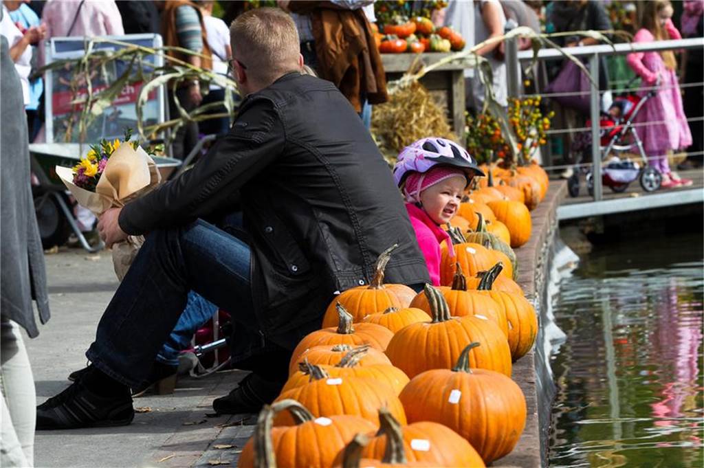 Herbst- und Bauernmärkte bieten Kreatives und Kulinarisches Am 14. Oktober findet wieder der Herbstmarkt „Gartenlust“ im Westfalenpark statt.
