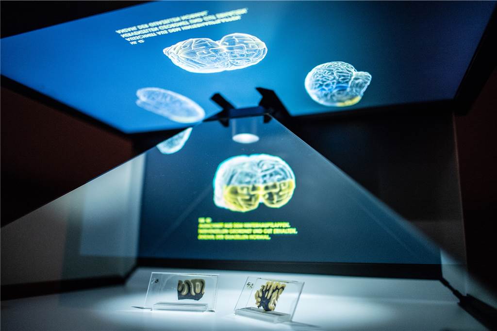 Unsere Tipps für Familien in den Sommerferien in Haltern am See Am 20. August steht ein Besuch beim Naturkundemuseum in Münster an.