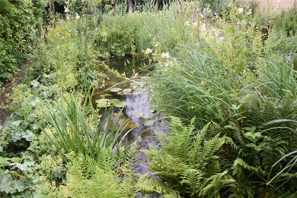 Ehepaar teilt riesigen Garten in Autobahnnähe sogar in „Zimmer“ auf Am Anfang des Gartens befindet sich ein 12 Kubikmeter großer Teich, in den das Regenwasser fließt und der von Fröschen, Molchen und Libellen bewohnt wird.