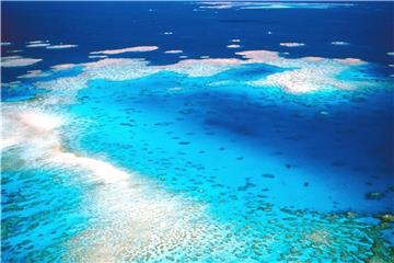 Am Great Barrier Reef haben großflächige Korallenbleichen erhebliche Schäden verursacht. Foto: Great Barrier Reef Marine Park Authority
