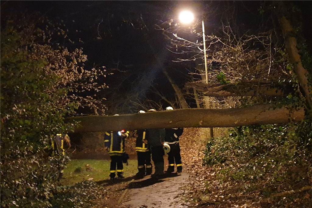 Am Himmelsberg in Barkenberg blockiert ein Baum einen Fuß- und Radweg.