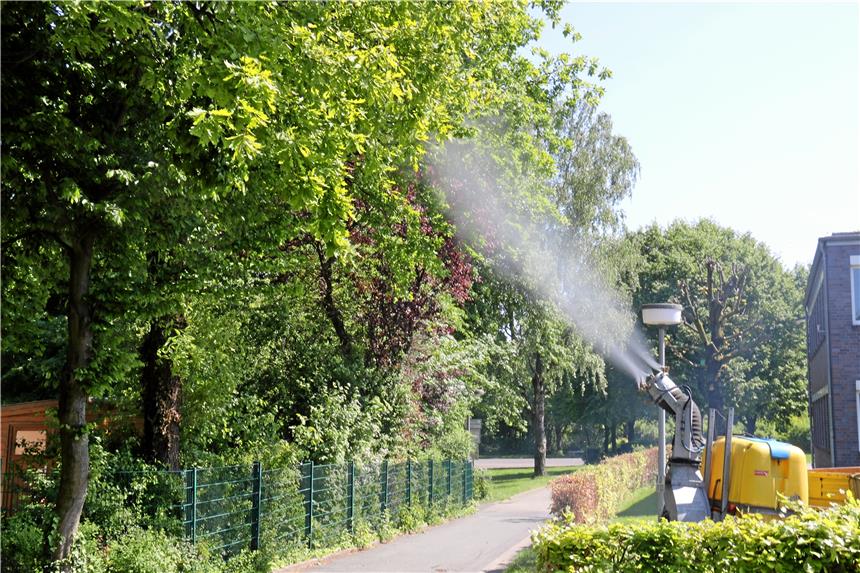 Firma Angelkort ist im Kampf gegen Spinner Am Kindergarten St. Benedikt sprühten die Verantwortlichen der Firma Angelkort am Freitagnachmittag das Bakterienmittel aus.