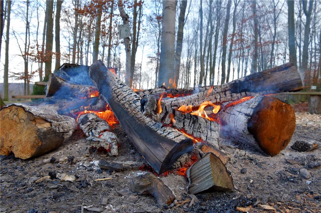Streichelzoo und Glühwein zum Weihnachtsbaumkauf in Schwerte Am Lagerfeuer kann man sich zwischendurch aufwärmen.